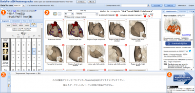 BodyParts3D Anatomography.png