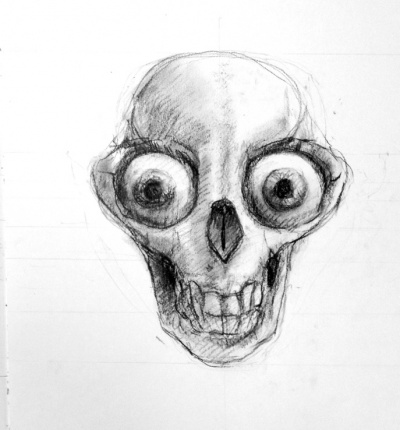 Drawing-tanukis skull research face.jpg