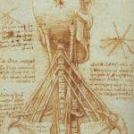 leonardo_anatomy_of_the_neck,_c._1515