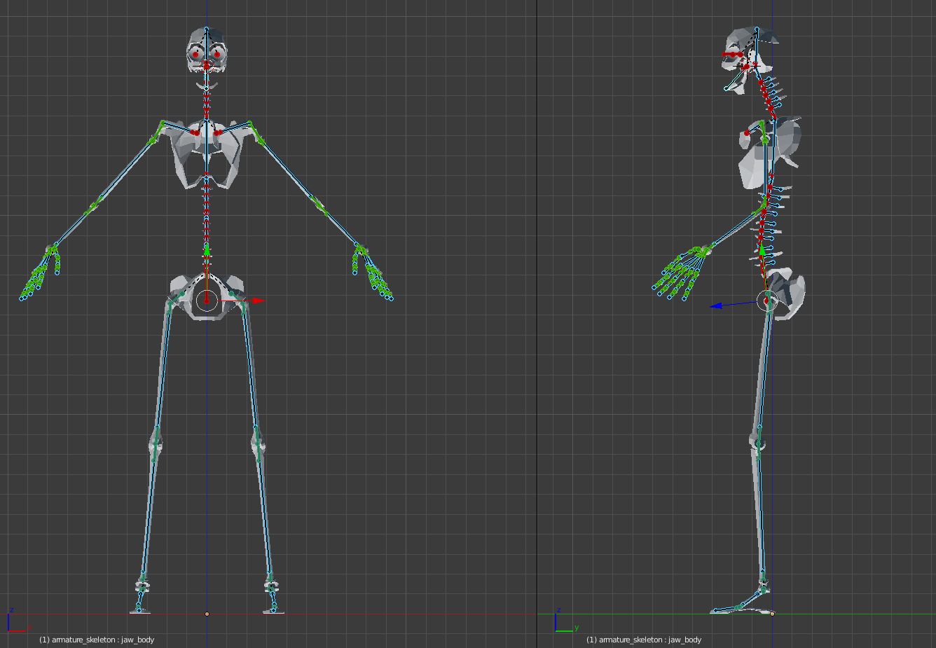 Tanukis-fully-rigged-skeleton.jpg