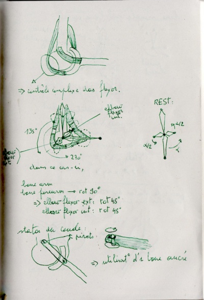 Muscles-sketchbook-scan002-web.jpeg
