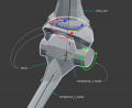 Ankle-armature.png