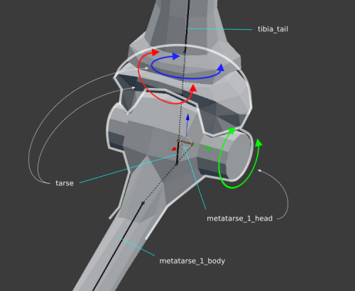 Ankle-armature.png