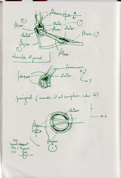 Muscles-sketchbook-scan005-web.jpeg